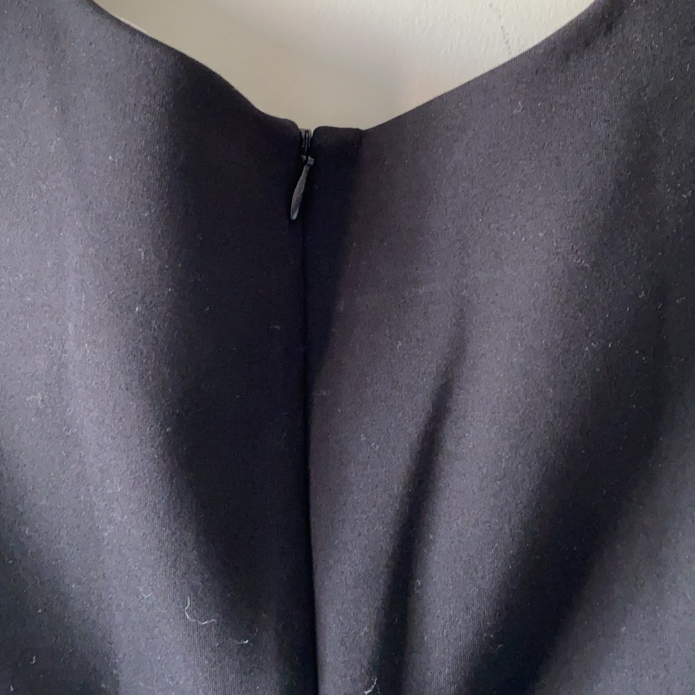 Everlane The Sleeveless V-Neck Flare Dress - Picture 6 of 6